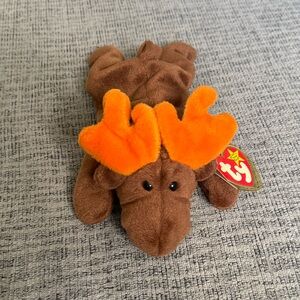 Chocolate the Moose Beanie Baby by Ty with Tag Protector